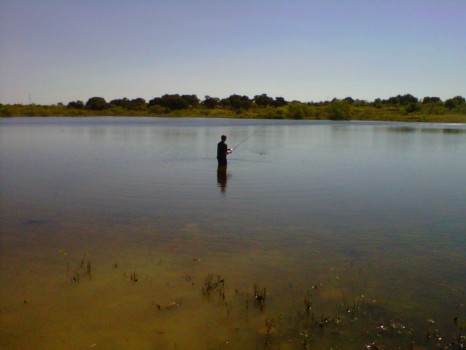 enlarge - Lake - IMG00003_20101009_1316.jpg