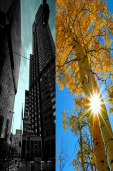 poster size photo -  - 24x36print.jpg