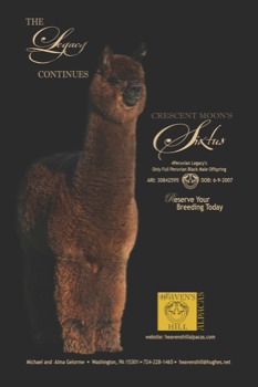print a poster - - vaobaposterSixtus.pdf