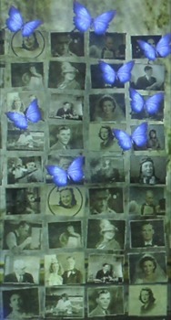 print a poster - Butterfies - 3-pics.jpg