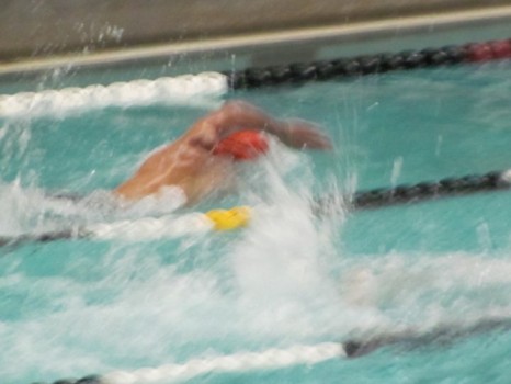 print a poster - Swimming - 67667_161734053846198_100000288137914_43.jpg