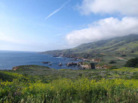 digital photo enlarging - Landscape - IMG_0331_01.jpg