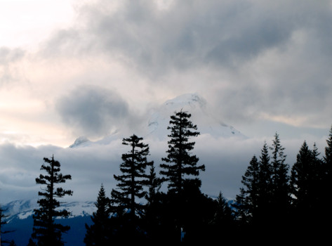 digital photo enlarging -  - IMG_0586_02.jpg