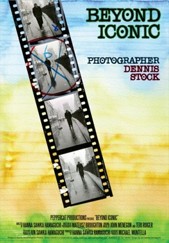 posterbrain - Beyond Iconic Photographer - DSFilmPoster39x27021111walmart.jpg