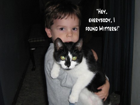 have - Cat - IMG_0358.jpg