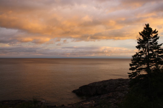 make - Ocean Tree Clouds - IMG_4311.jpg