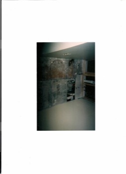 posterbrain - Blurry - ScanDoc0012.pdf