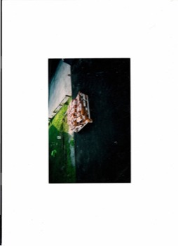 posterbrain - Blurry - ScanDoc0021.pdf
