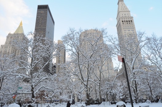 large - Tall Buildings & Snow Fall - DSC1058JPG.jpg