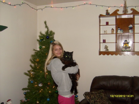 poster - Black Cat - my_life_076.jpg