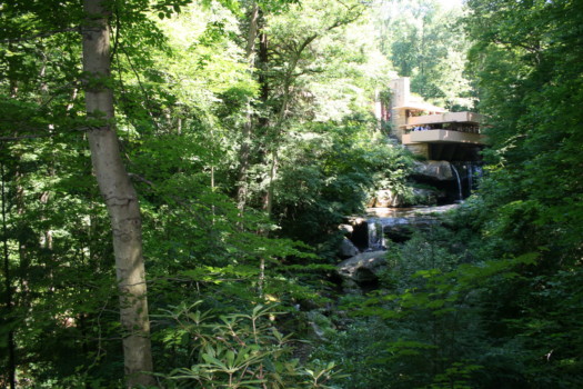 print a poster - Forest - FallingWater1.jpg