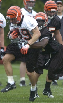 print a poster - American Football - Bengals_1.jpg