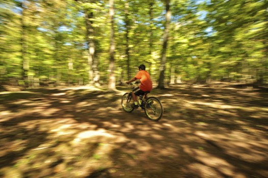 poster size photos - Bicycle For Kids - DSC_0118___Version_2.jpg