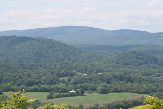 24x36 - Landscape - IMG_8482.jpg