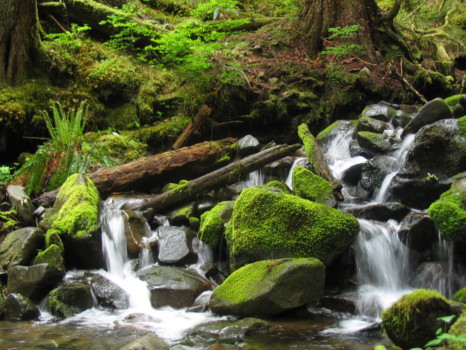 print a poster - Stream Rocks Trees - Art_Photos_23.jpg