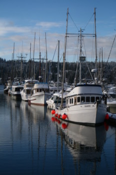 print a poster - Boats In Harbor - Art_Photos_378.jpg