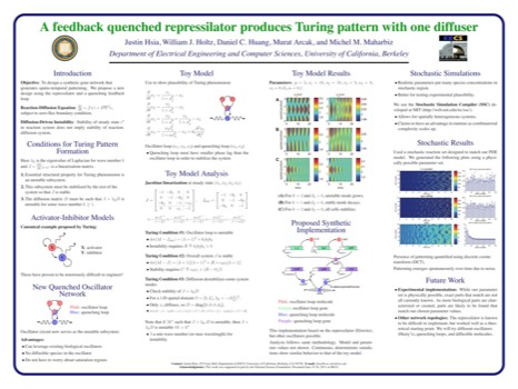 print a poster - Feedback Quenched Repressilator Produces Turing Pattern With One - synbio.pdf