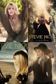 print a poster - Stevie Nicks - stevienix.jpg