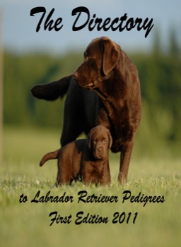posterbrain - The Directory - Chocolate_dog_and_puppy_cover_.jpg