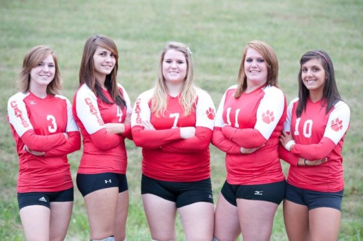 print a poster - Sports Photo - volleyball32010.jpg