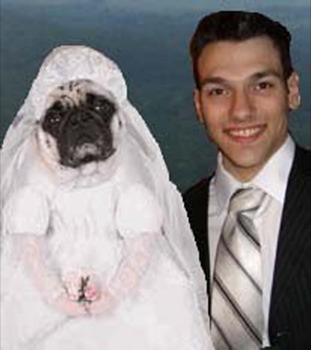 posterbrain -  - alecmarriedhi.jpg