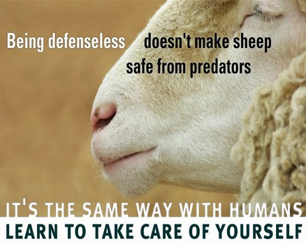 make -  - DEFENSLESS.jpg