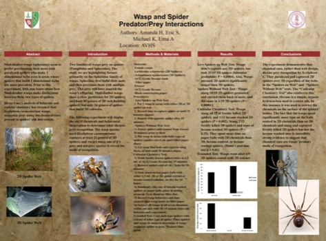 where - Wasp And Spider Predator Preyinteractions - Poster.ppt