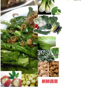 posterbrain - Vegetables - poster2.png