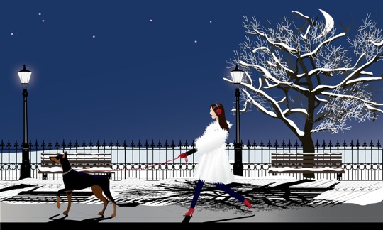 poster from jpg -  - dobermanCardShadows6.png