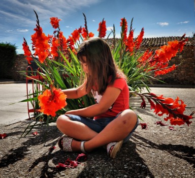 print - Flowers - printbig.jpg