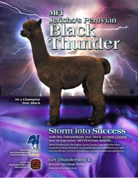 print a poster -  - BlackThunderVAOBAAd.jpg