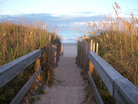 print a poster - Beach Walkway - uncw2010_031.jpg