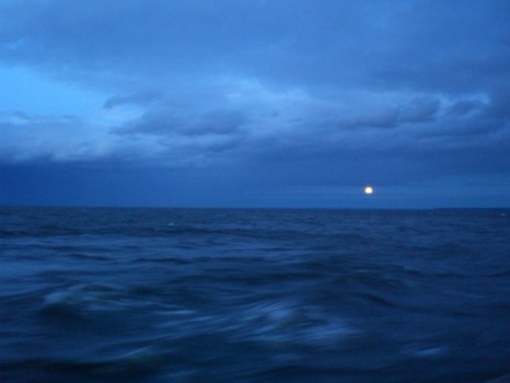 photo - Ocean - ZJCA_aug07_023.jpg