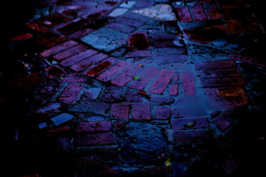 print a poster - Brick Walkway - DSC_0031.jpg