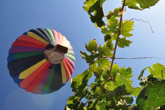 large images for enlarging - Hat Air Balloon - temeculaCA6446YK.jpg