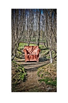 print a poster - Chair Pathway Trees Woods - IMG7271.tif
