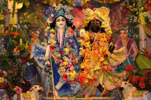 print - Hindu Gods - Alachua_312.jpg