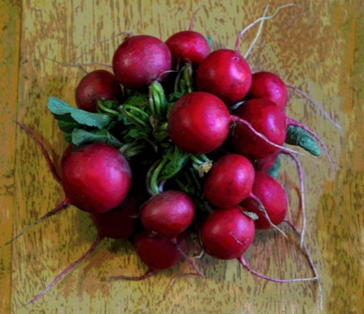 poster brain - Beetroot - TheRadishes.jpg