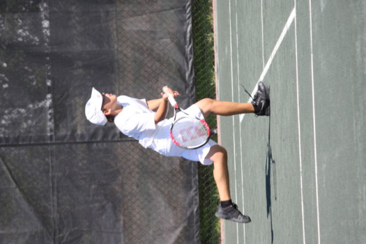 posterbrain - Tabletennis Game - seantennisnewseabury.jpg