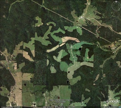 print a poster - Green Mosaic - Farm_1.jpg