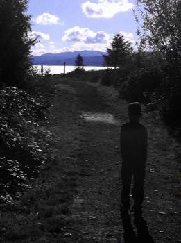 poster brain - Path Trees Lake Mountains - photoJPG.jpg
