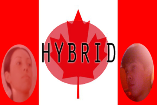 custom poster fast shipping - Canadian Flag With Photos - hybrid_flag_cropped.jpg