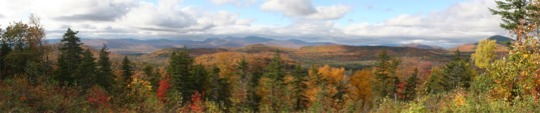 high - Trees - kinneysheadfallpan.tif