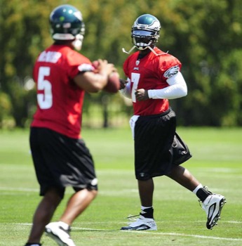print a poster - Players Jersey Helmet Grass - VickMcNabb.jpg