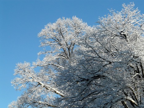 Poster size prints -  - winter.jpg