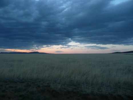 posterbrain - Prairie - P1030162.jpg