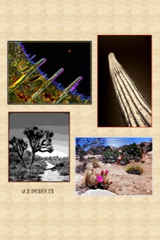 posterbrain - us Deserts Cactus Plants - USdesrts.tif