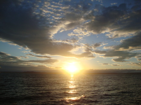 posterbrain  - Sunrise - 188.jpg