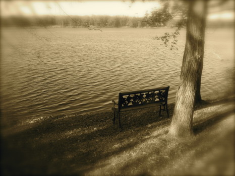 print a poster - Park Bench By Lake - 100_0666.jpg