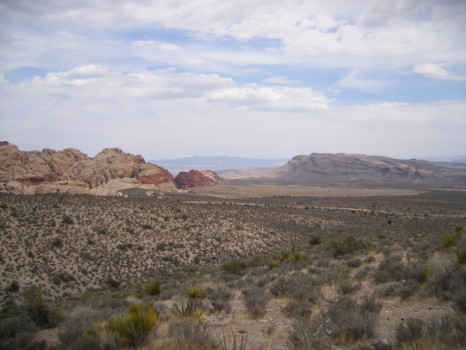 digital - Arid Area - DSCF0270.jpg